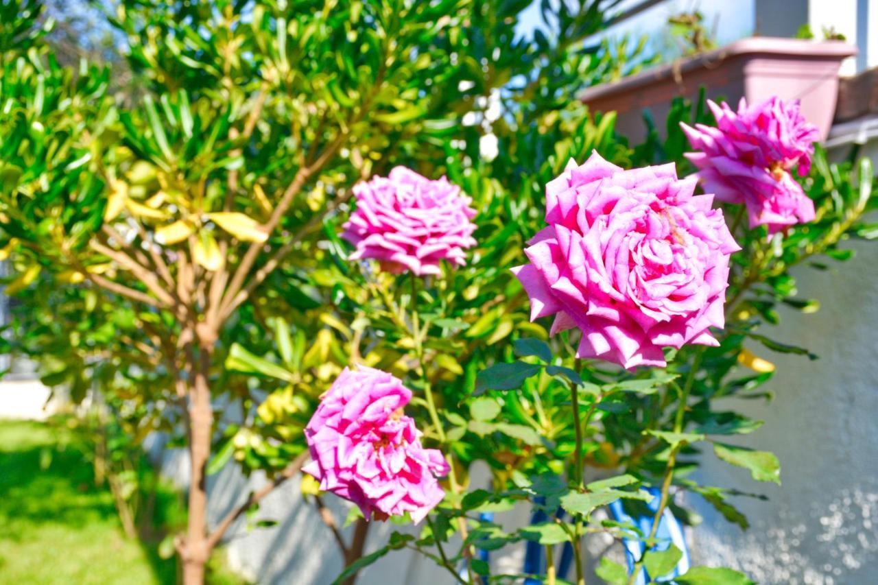 Ninas Cottage Linia ภายนอก รูปภาพ